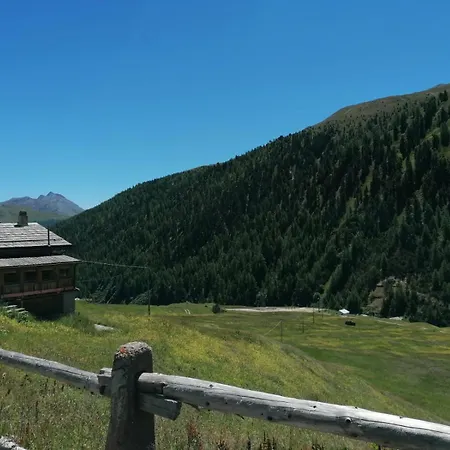 Tea Da Nardo In Val Federia リヴィーニョ